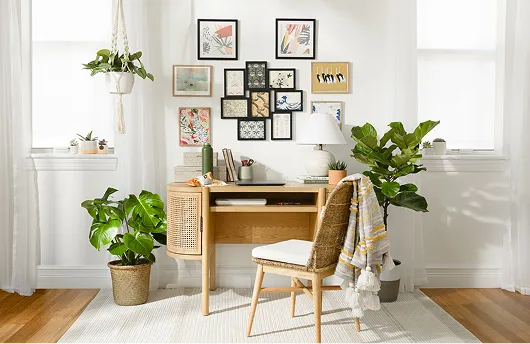 Costa Farms project mockup